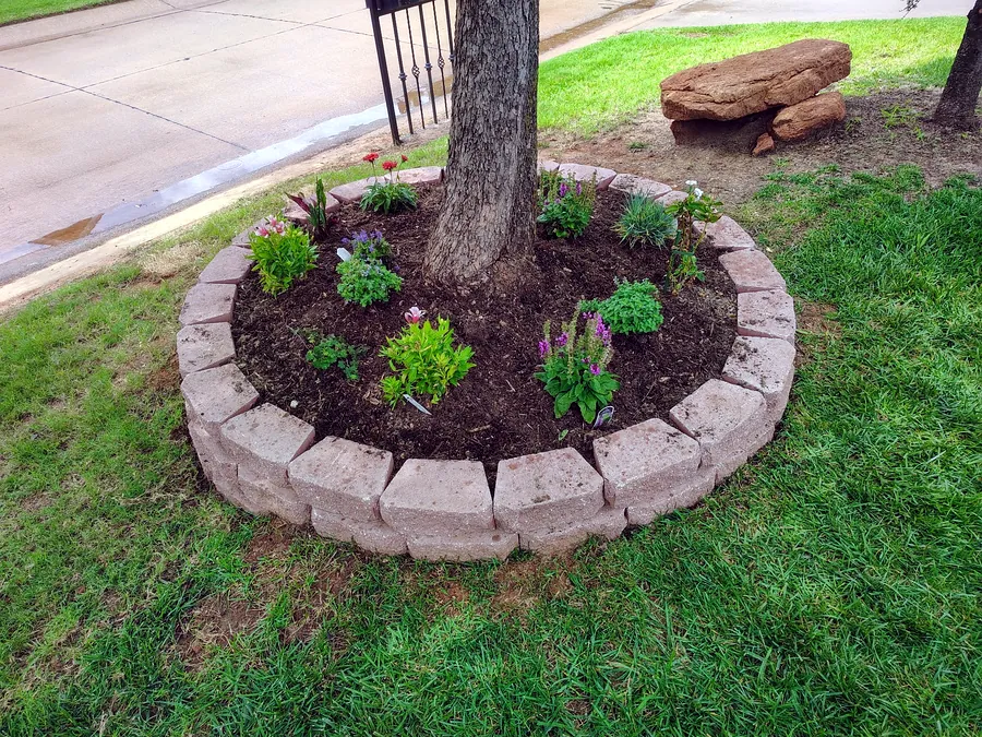 Circular stone-block ring around a tree, filled with fresh mulch and new plantings
